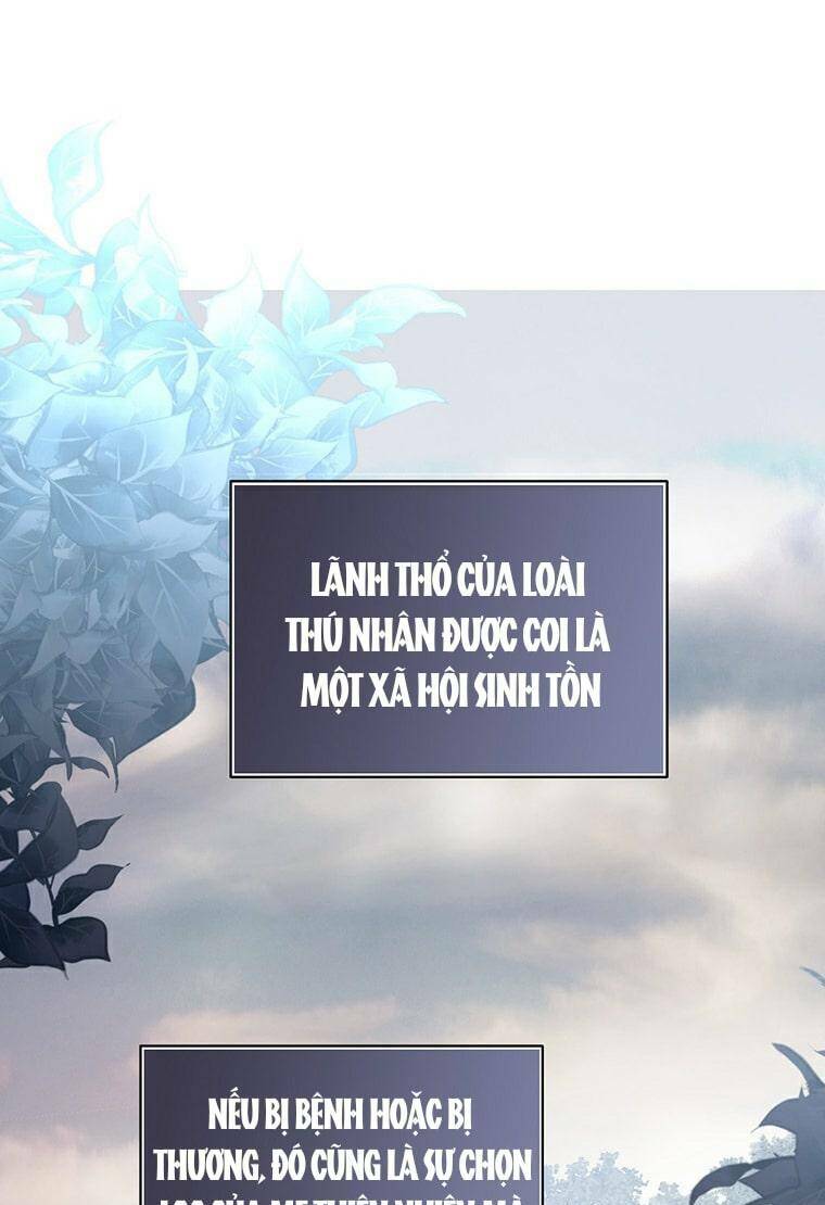 Công Tước, Đó Là Anh Trai Tôi: Chapter 12