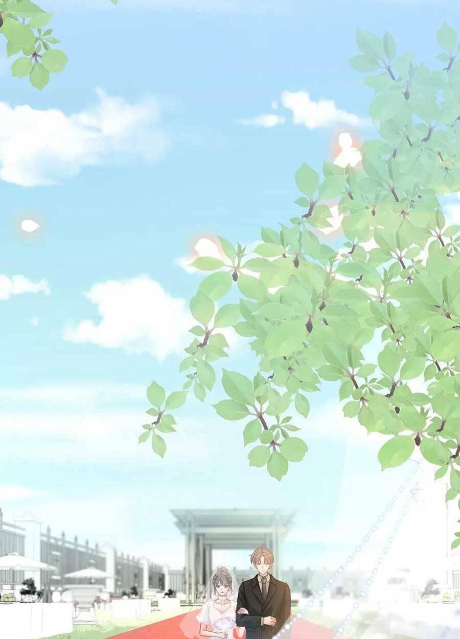 Xuyên Nhanh Nữ Phụ Bình Tĩnh Chút: Chapter 104