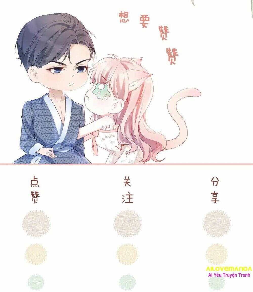 Xuyên Nhanh Nữ Phụ Bình Tĩnh Chút: Chapter 11