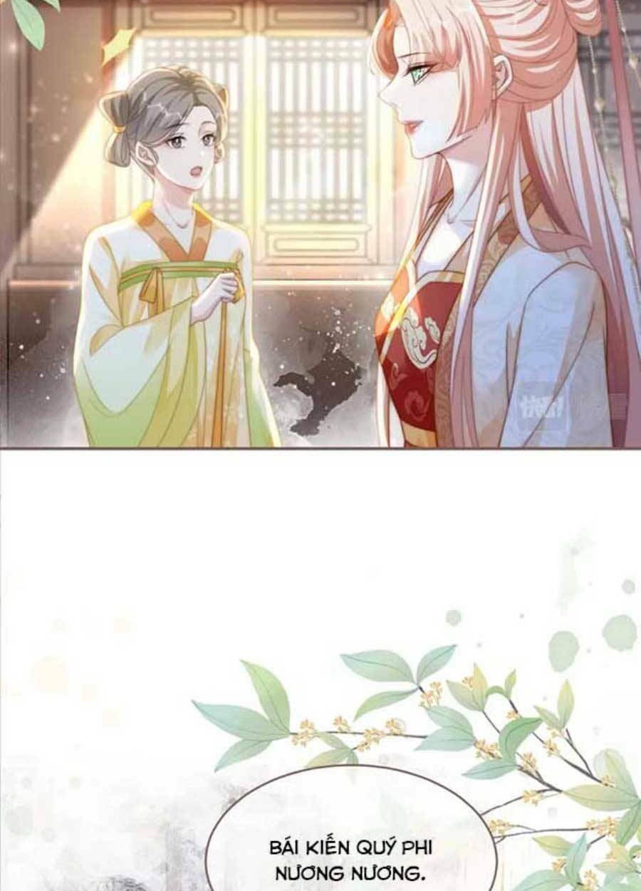 Xuyên Nhanh Nữ Phụ Bình Tĩnh Chút: Chapter 110