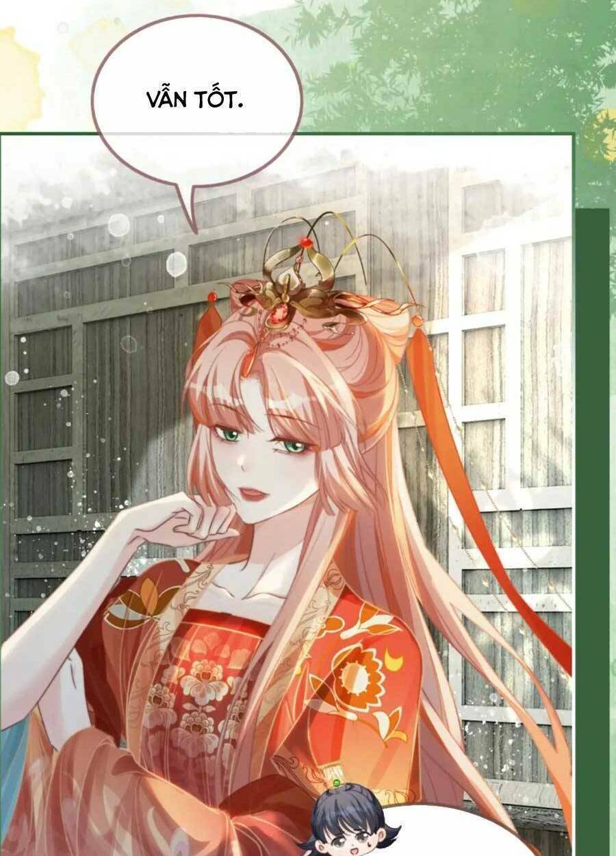 Xuyên Nhanh Nữ Phụ Bình Tĩnh Chút: Chapter 119