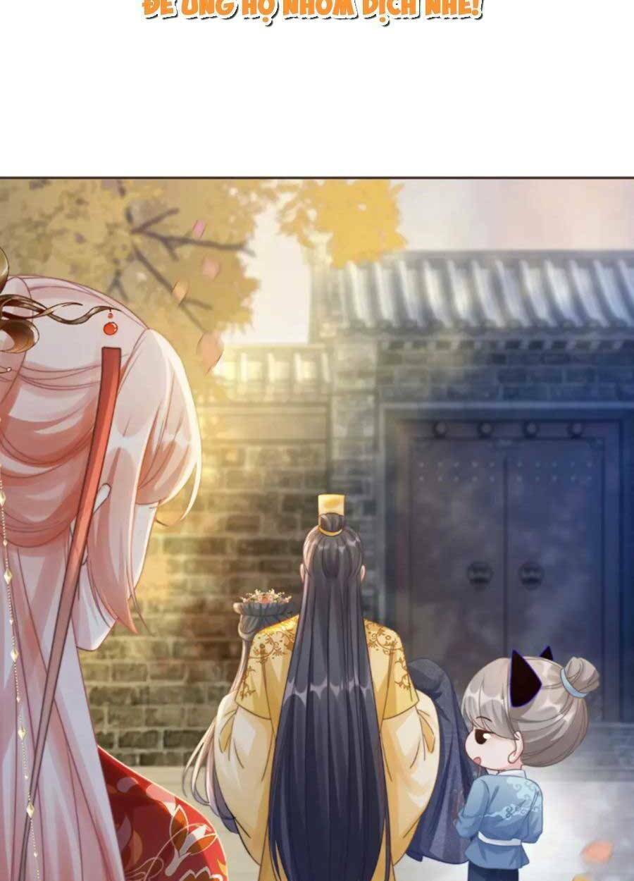 Xuyên Nhanh Nữ Phụ Bình Tĩnh Chút: Chapter 119