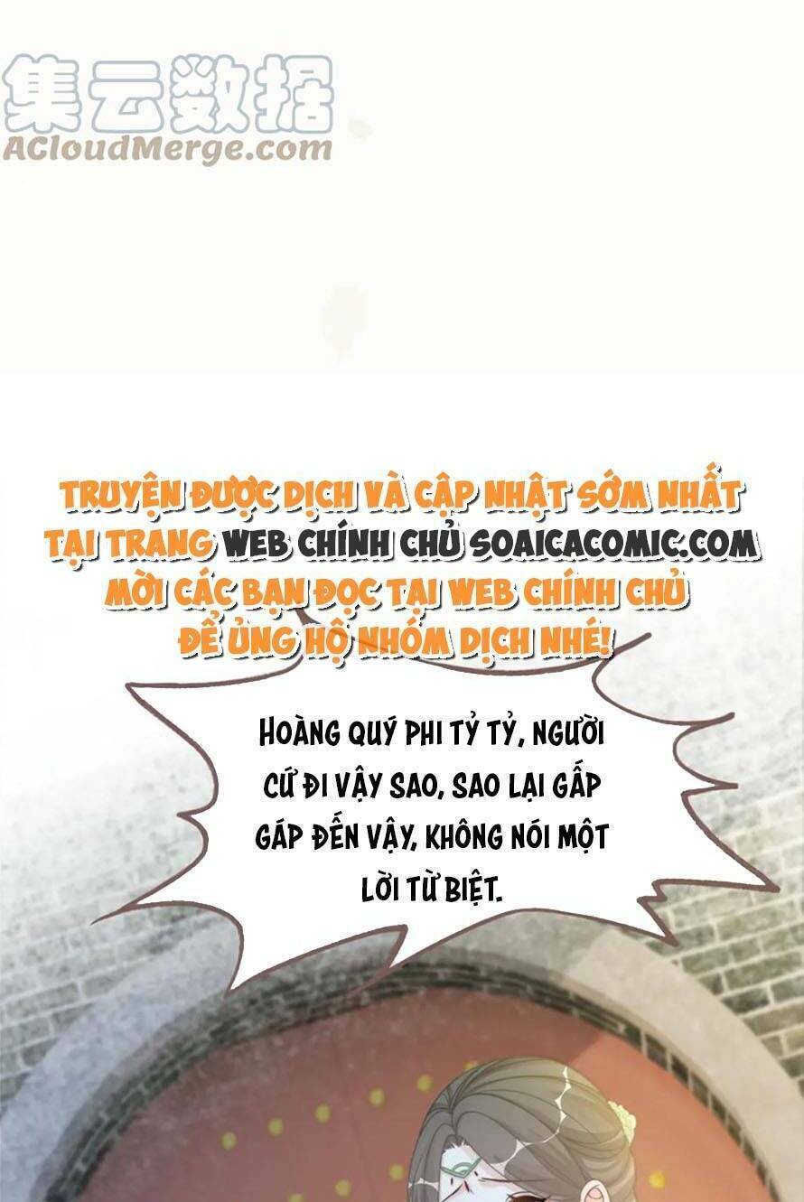 Xuyên Nhanh Nữ Phụ Bình Tĩnh Chút: Chapter 133