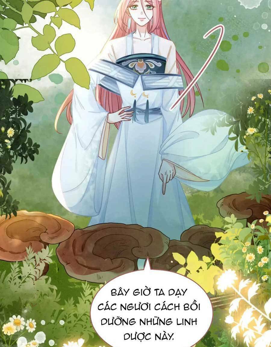 Xuyên Nhanh Nữ Phụ Bình Tĩnh Chút: Chapter 138