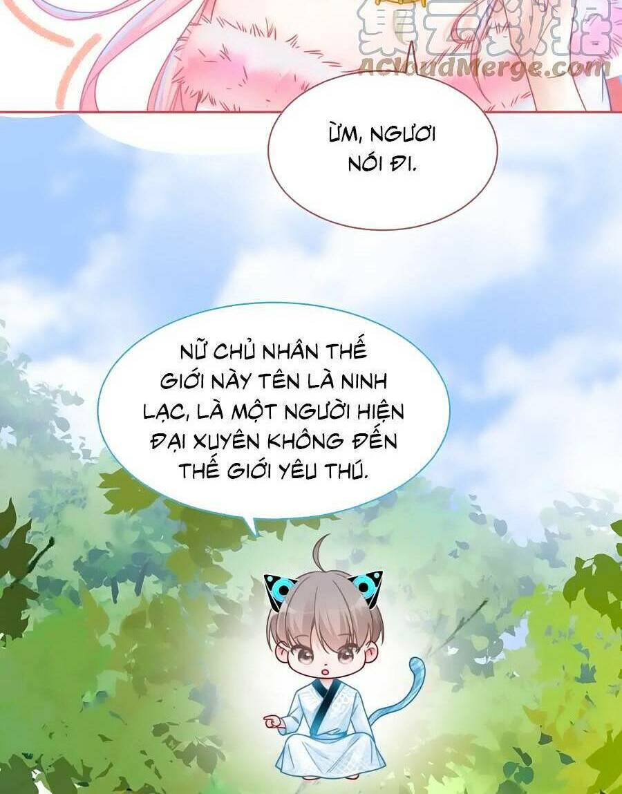 Xuyên Nhanh Nữ Phụ Bình Tĩnh Chút: Chapter 150