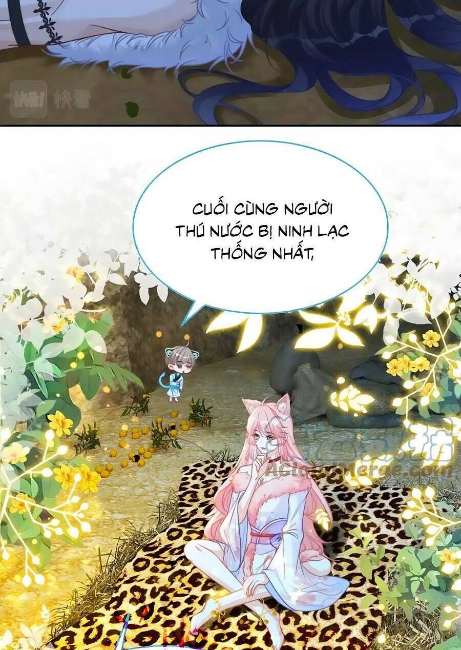 Xuyên Nhanh Nữ Phụ Bình Tĩnh Chút: Chapter 150