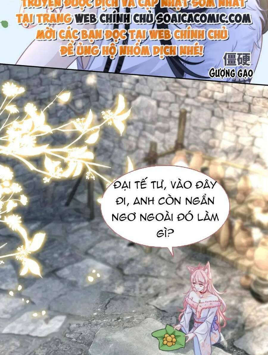 Xuyên Nhanh Nữ Phụ Bình Tĩnh Chút: Chapter 151