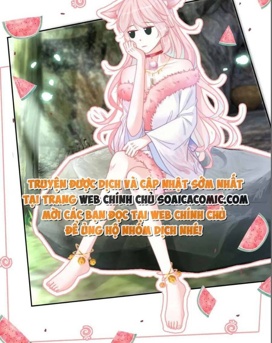 Xuyên Nhanh Nữ Phụ Bình Tĩnh Chút: Chapter 152