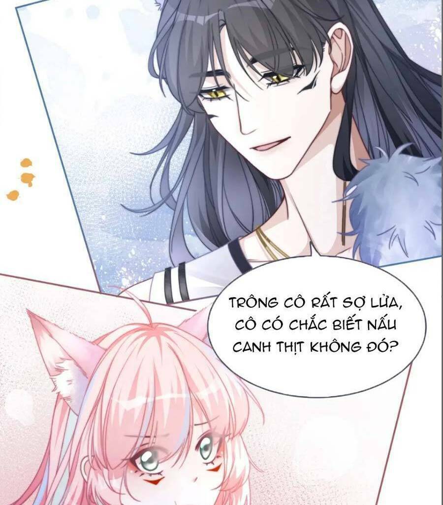 Xuyên Nhanh Nữ Phụ Bình Tĩnh Chút: Chapter 152