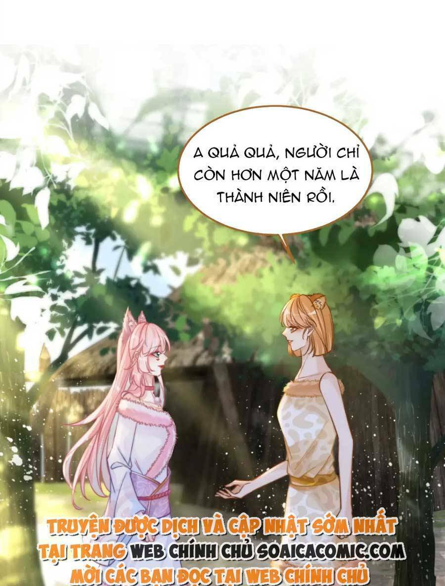 Xuyên Nhanh Nữ Phụ Bình Tĩnh Chút: Chapter 154
