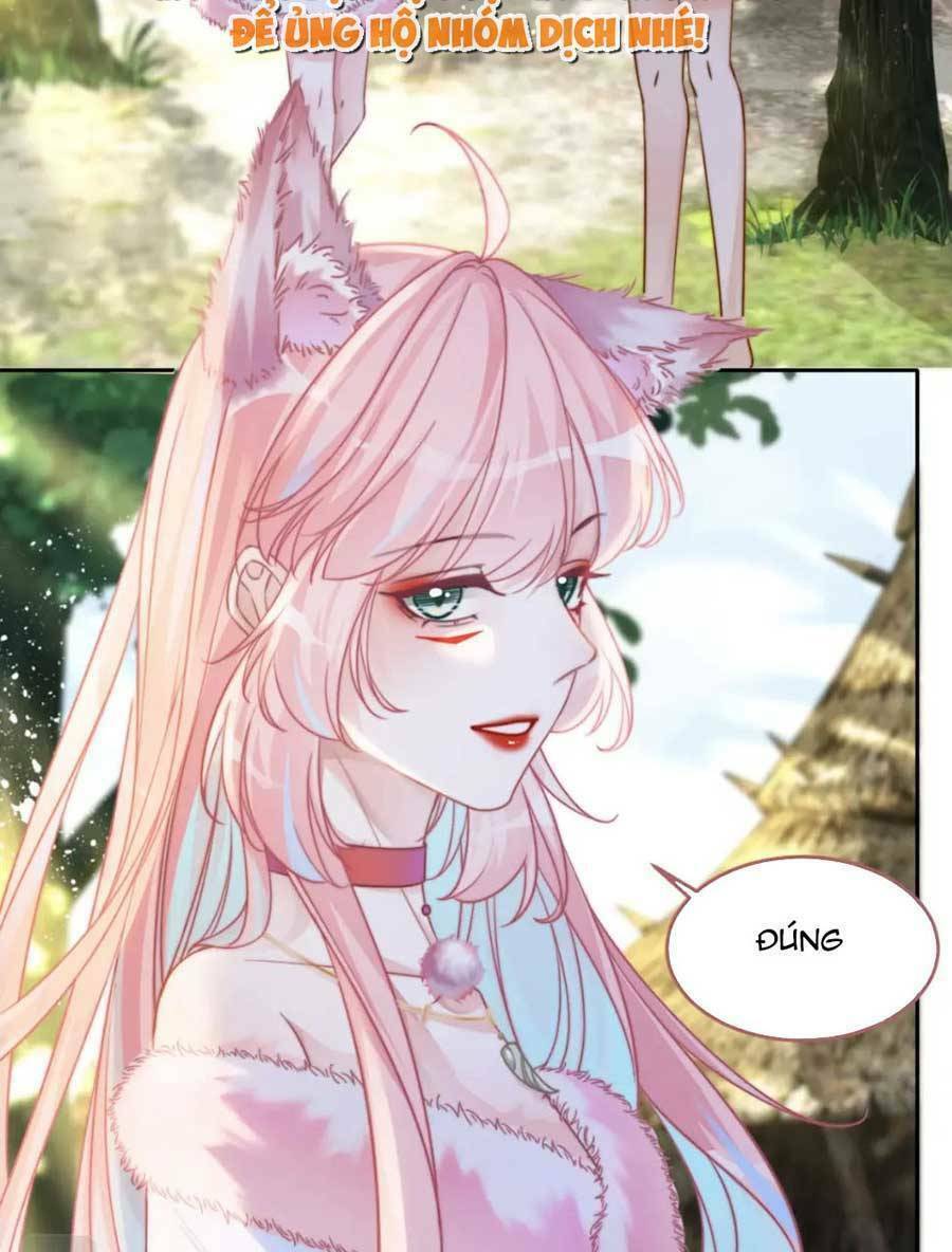 Xuyên Nhanh Nữ Phụ Bình Tĩnh Chút: Chapter 154