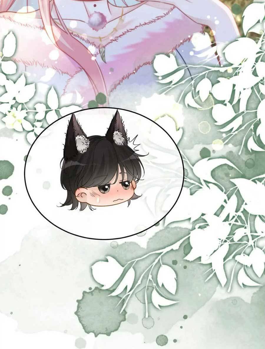 Xuyên Nhanh Nữ Phụ Bình Tĩnh Chút: Chapter 154