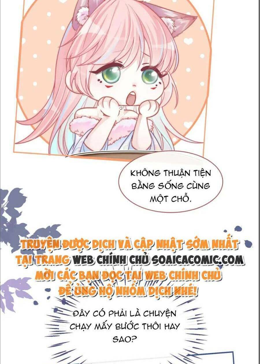 Xuyên Nhanh Nữ Phụ Bình Tĩnh Chút: Chapter 155