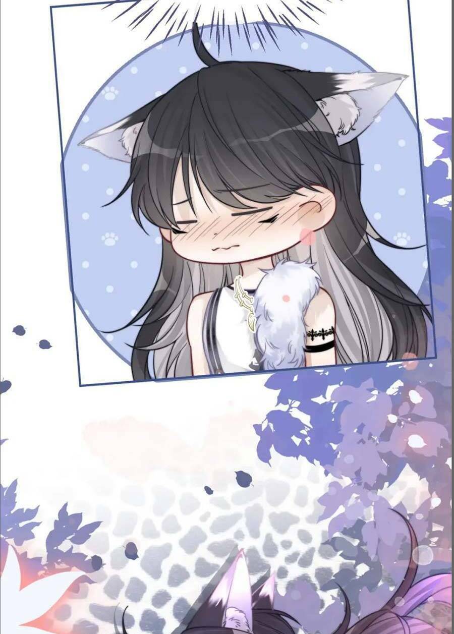 Xuyên Nhanh Nữ Phụ Bình Tĩnh Chút: Chapter 155