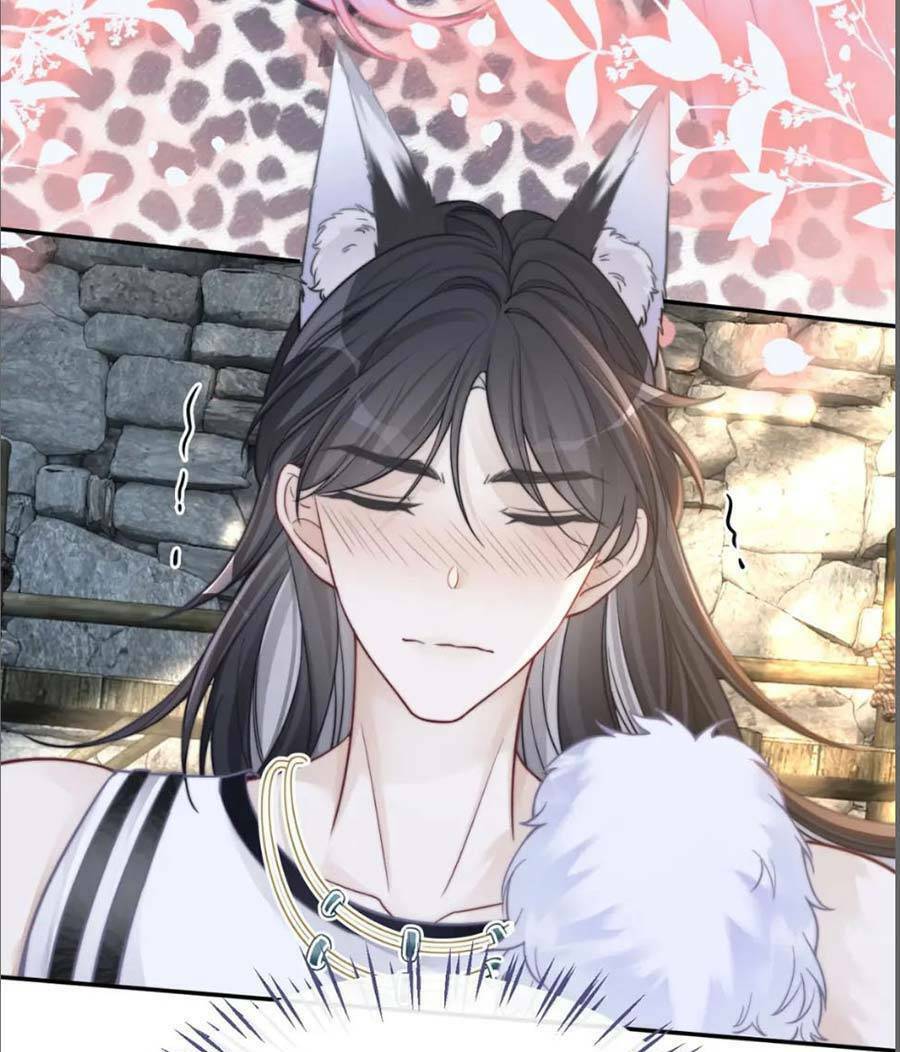 Xuyên Nhanh Nữ Phụ Bình Tĩnh Chút: Chapter 155