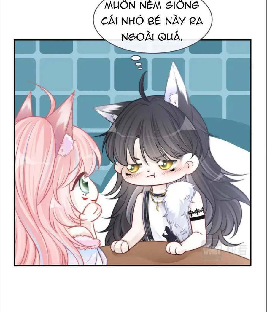 Xuyên Nhanh Nữ Phụ Bình Tĩnh Chút: Chapter 155