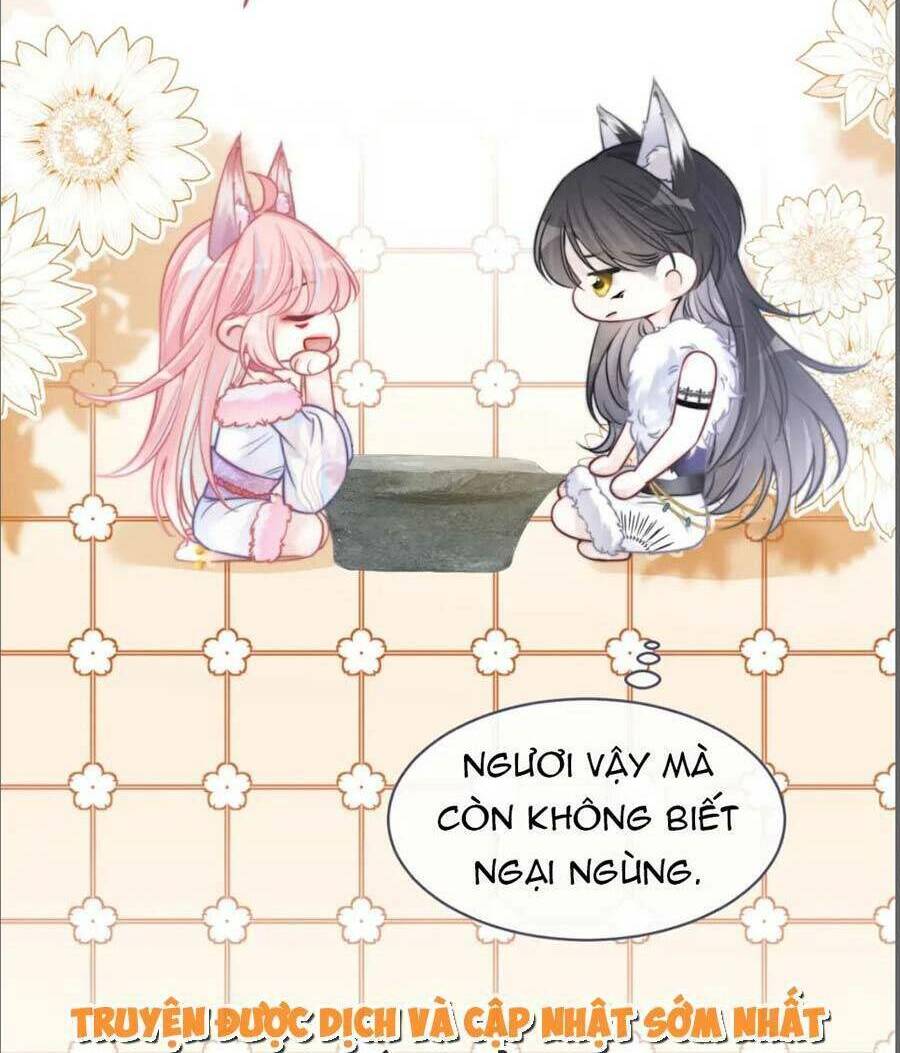 Xuyên Nhanh Nữ Phụ Bình Tĩnh Chút: Chapter 155