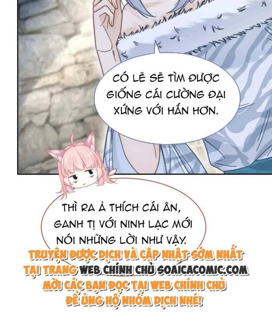 Xuyên Nhanh Nữ Phụ Bình Tĩnh Chút: Chapter 156