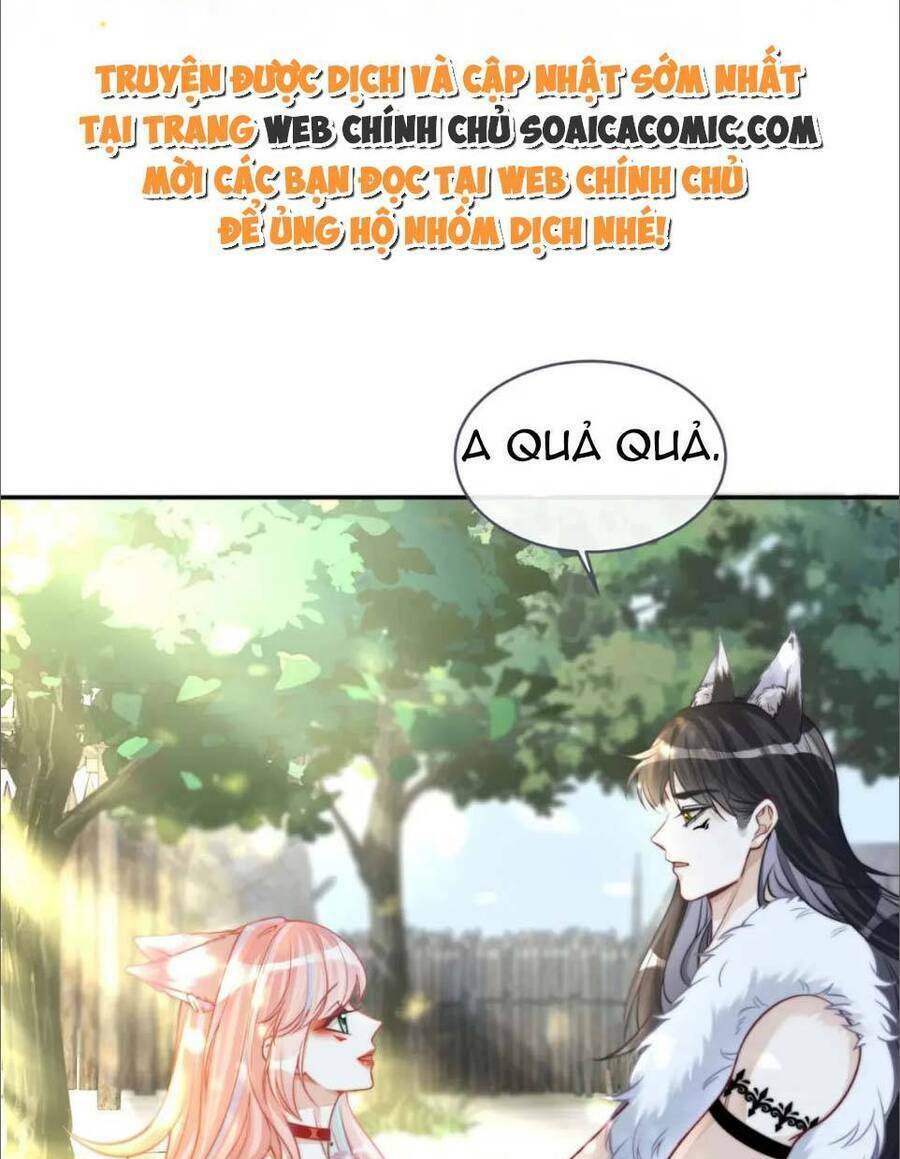 Xuyên Nhanh Nữ Phụ Bình Tĩnh Chút: Chapter 156