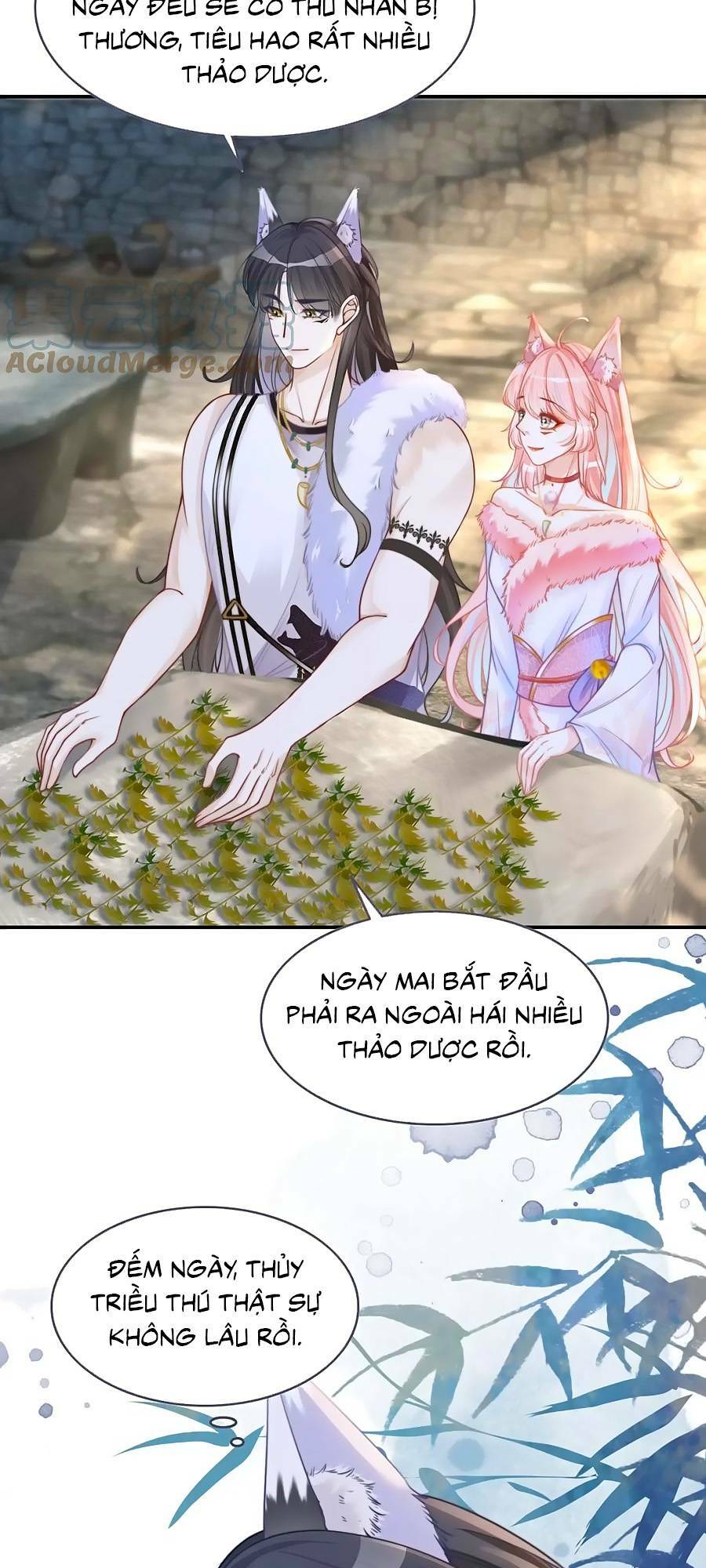 Xuyên Nhanh Nữ Phụ Bình Tĩnh Chút: Chapter 157