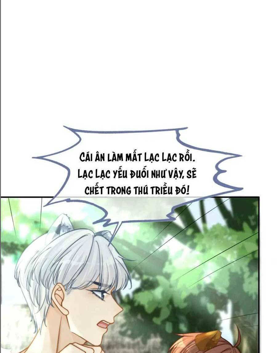 Xuyên Nhanh Nữ Phụ Bình Tĩnh Chút: Chapter 158