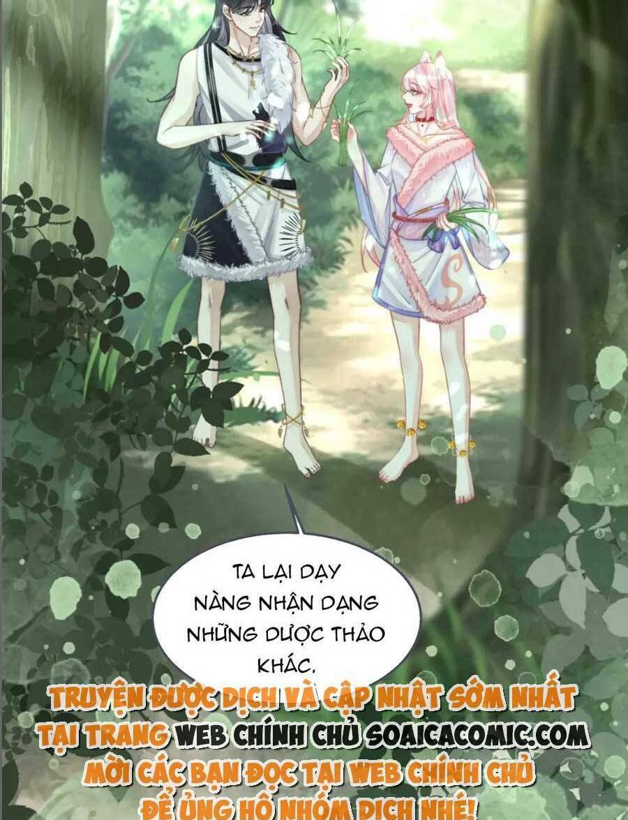 Xuyên Nhanh Nữ Phụ Bình Tĩnh Chút: Chapter 158