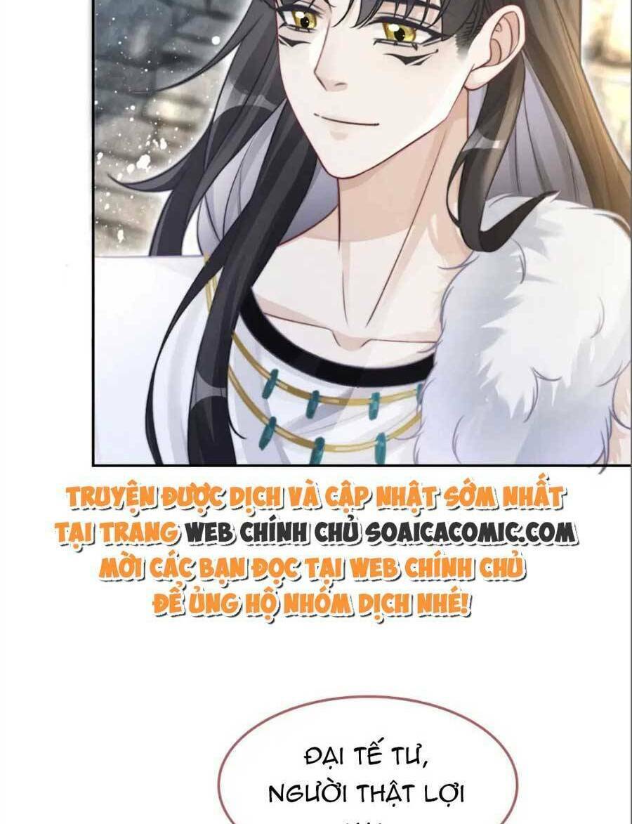 Xuyên Nhanh Nữ Phụ Bình Tĩnh Chút: Chapter 158