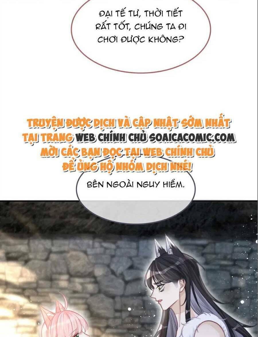 Xuyên Nhanh Nữ Phụ Bình Tĩnh Chút: Chapter 158