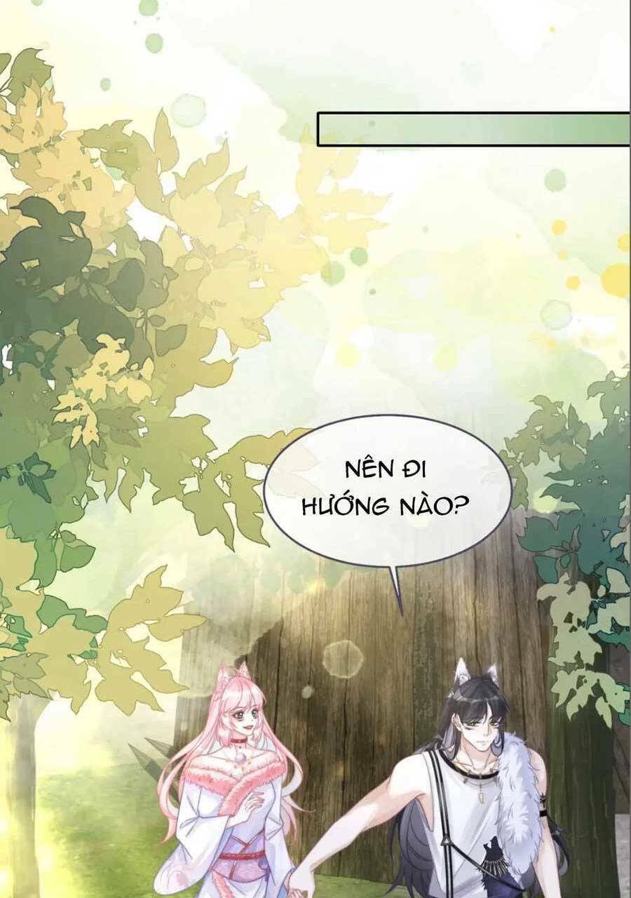 Xuyên Nhanh Nữ Phụ Bình Tĩnh Chút: Chapter 158