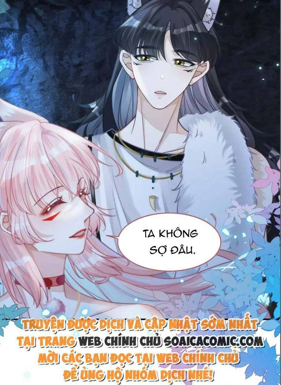 Xuyên Nhanh Nữ Phụ Bình Tĩnh Chút: Chapter 159