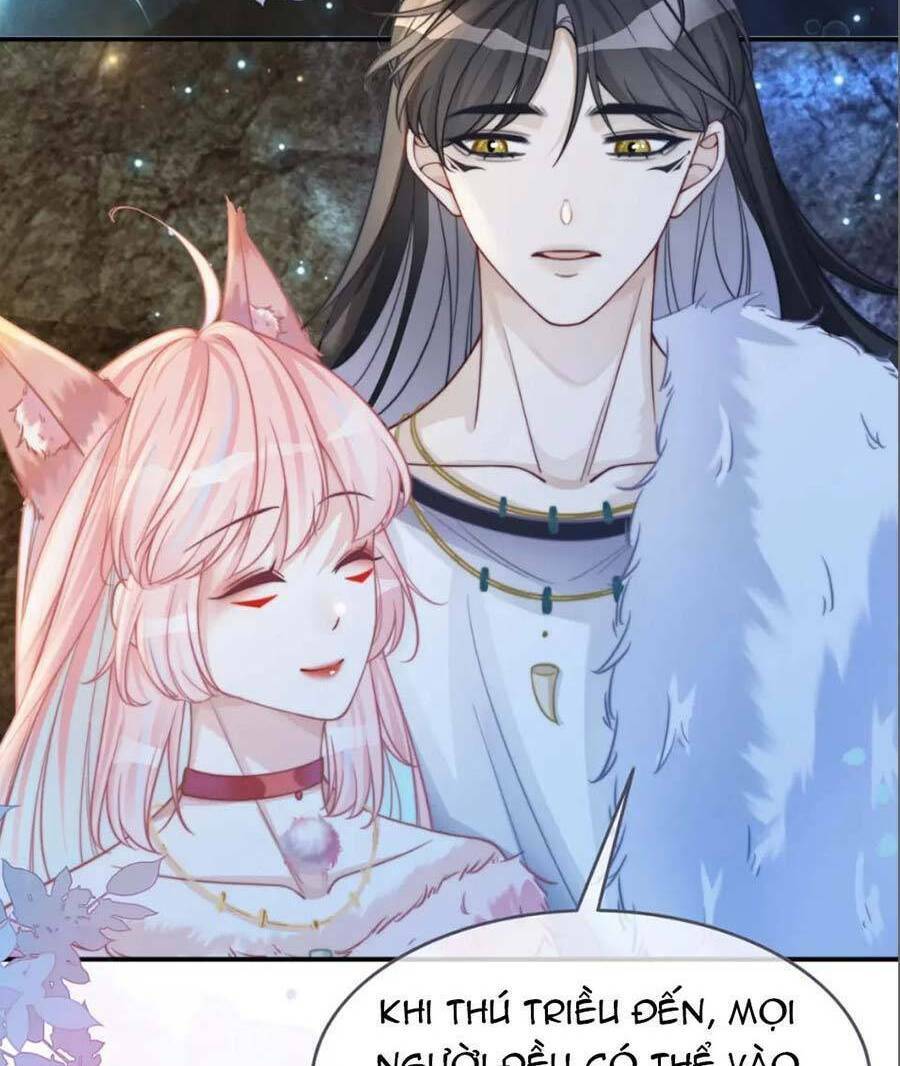 Xuyên Nhanh Nữ Phụ Bình Tĩnh Chút: Chapter 159