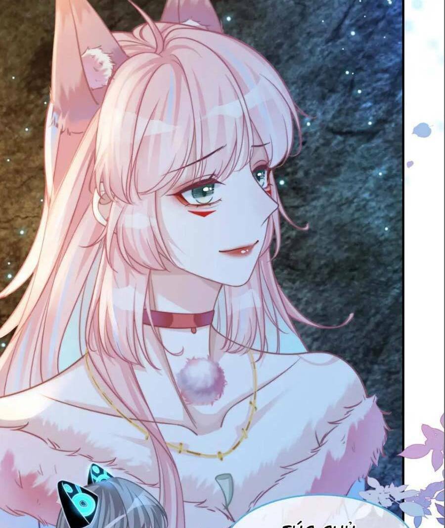Xuyên Nhanh Nữ Phụ Bình Tĩnh Chút: Chapter 159