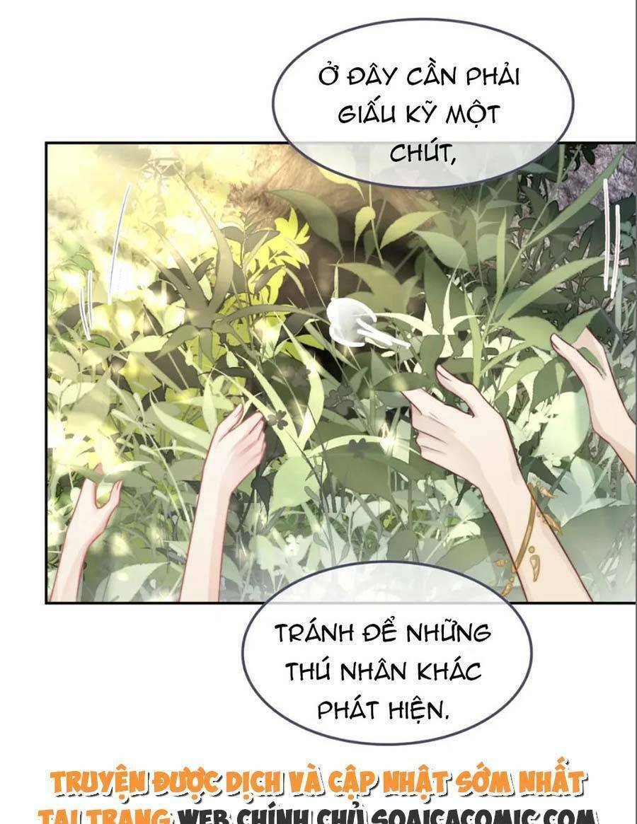 Xuyên Nhanh Nữ Phụ Bình Tĩnh Chút: Chapter 159