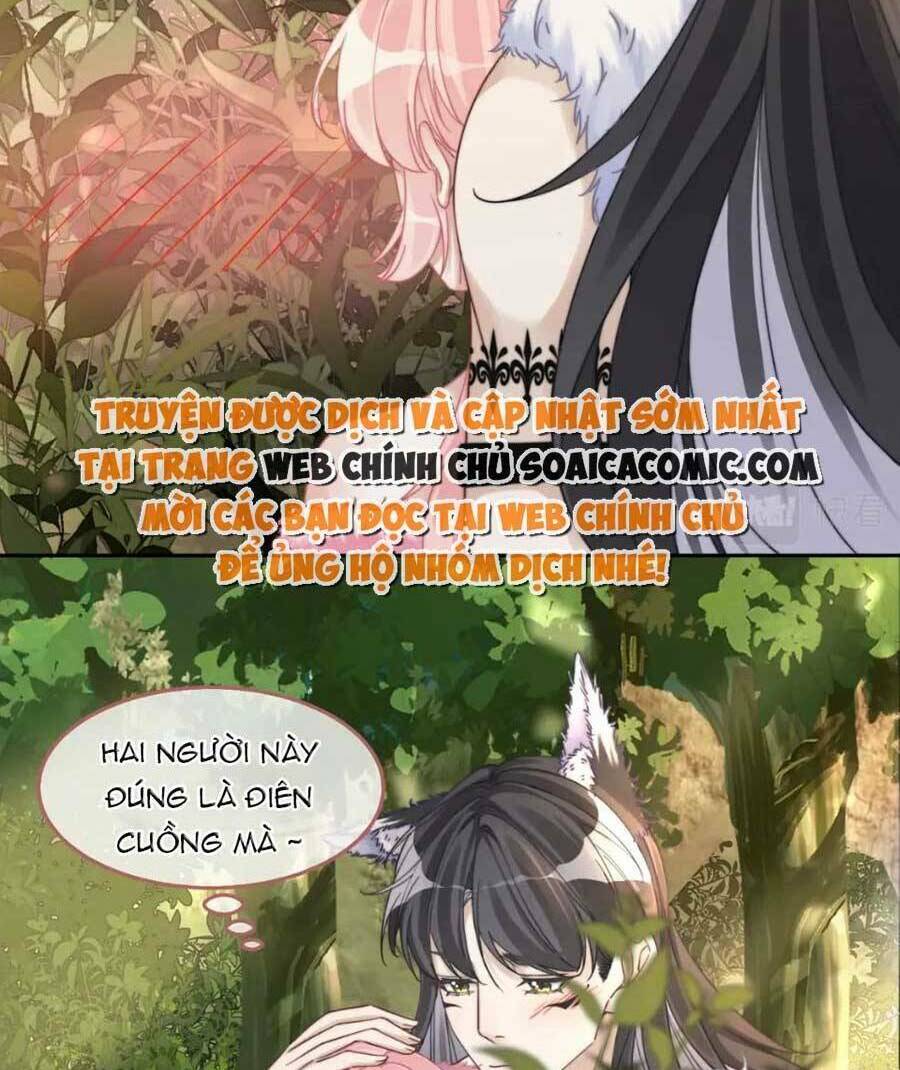 Xuyên Nhanh Nữ Phụ Bình Tĩnh Chút: Chapter 160