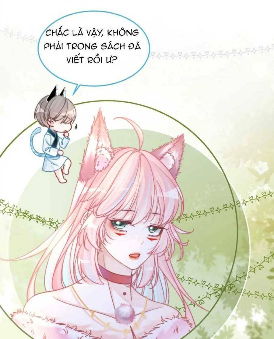 Xuyên Nhanh Nữ Phụ Bình Tĩnh Chút: Chapter 160
