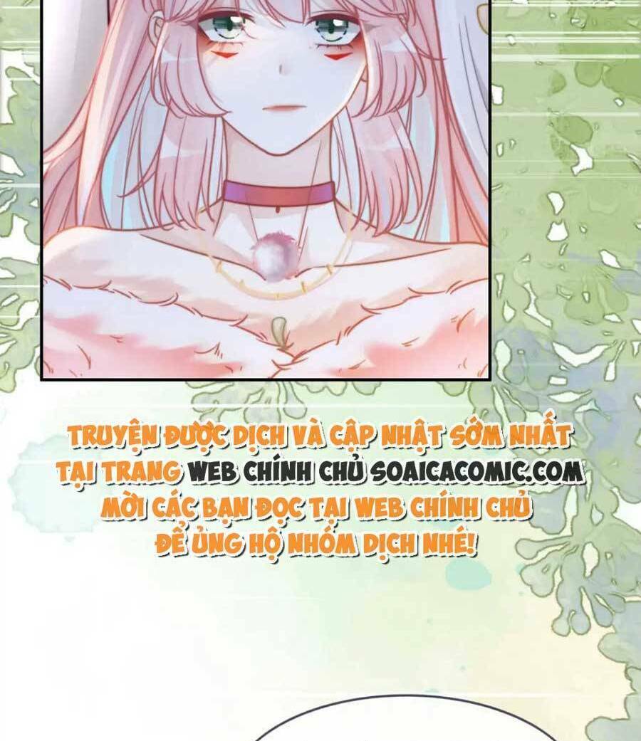 Xuyên Nhanh Nữ Phụ Bình Tĩnh Chút: Chapter 160