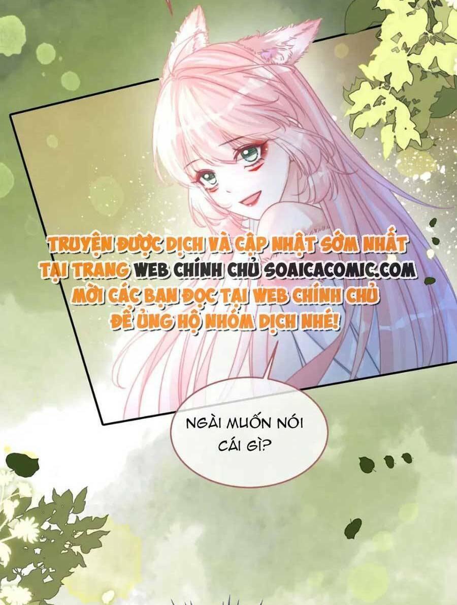 Xuyên Nhanh Nữ Phụ Bình Tĩnh Chút: Chapter 160