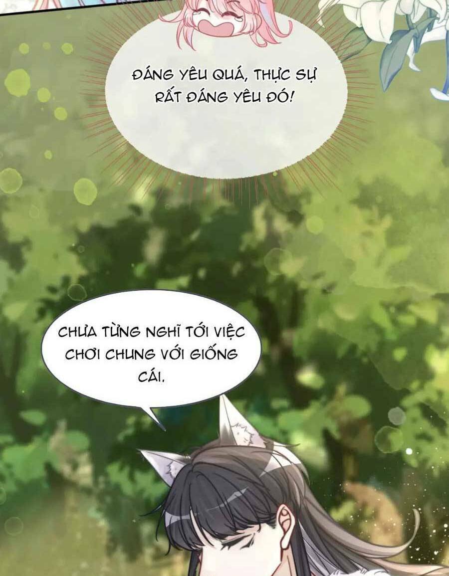 Xuyên Nhanh Nữ Phụ Bình Tĩnh Chút: Chapter 160