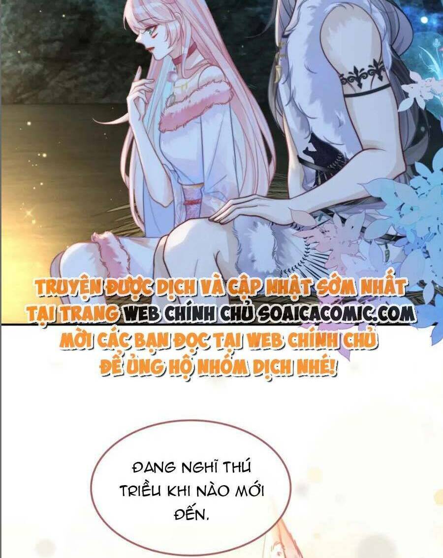 Xuyên Nhanh Nữ Phụ Bình Tĩnh Chút: Chapter 161