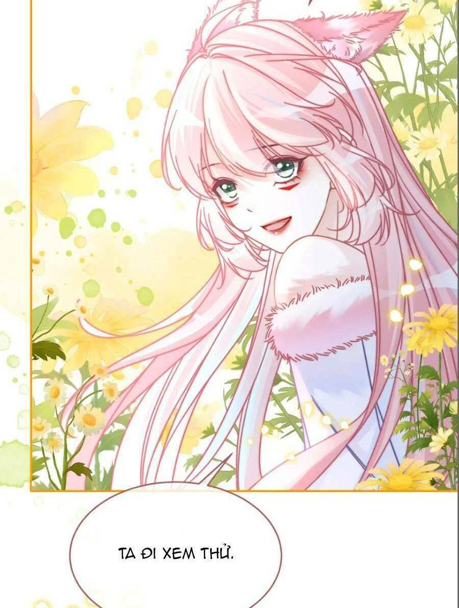 Xuyên Nhanh Nữ Phụ Bình Tĩnh Chút: Chapter 161