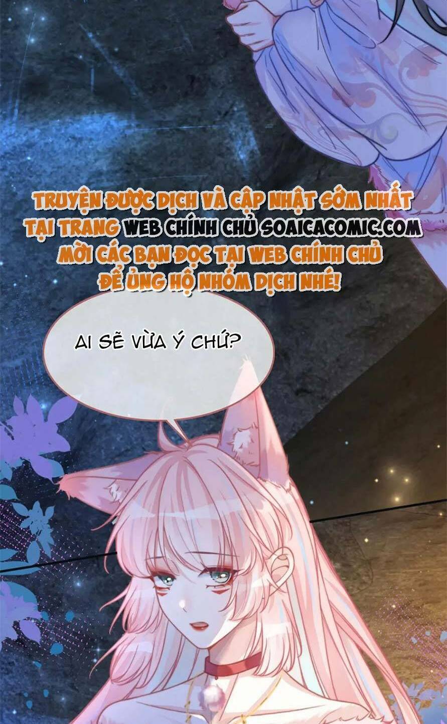 Xuyên Nhanh Nữ Phụ Bình Tĩnh Chút: Chapter 161