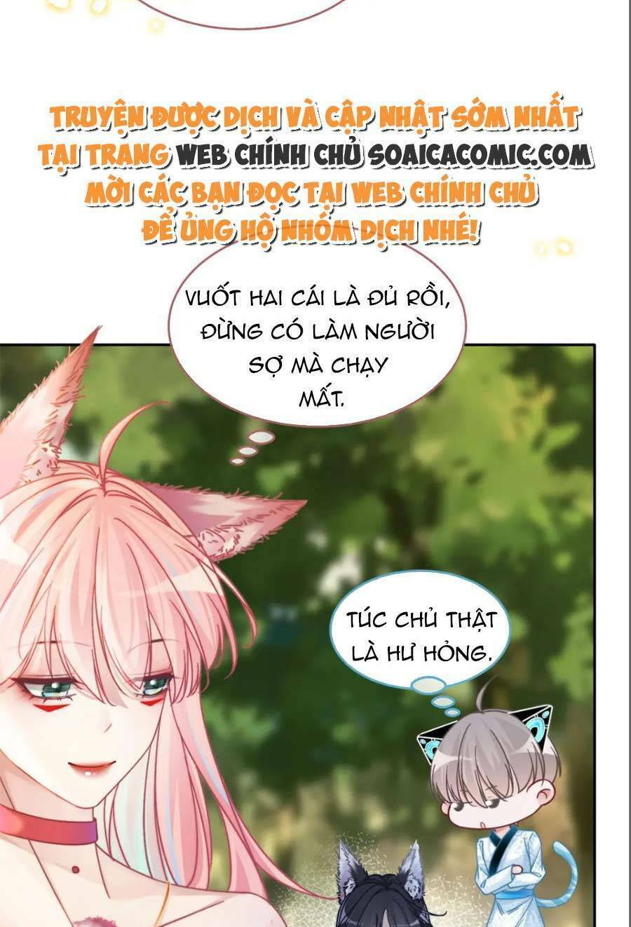 Xuyên Nhanh Nữ Phụ Bình Tĩnh Chút: Chapter 161