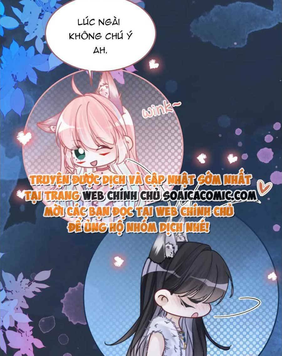 Xuyên Nhanh Nữ Phụ Bình Tĩnh Chút: Chapter 162