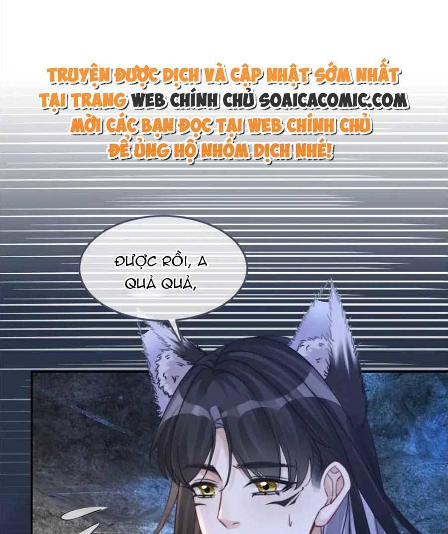 Xuyên Nhanh Nữ Phụ Bình Tĩnh Chút: Chapter 162