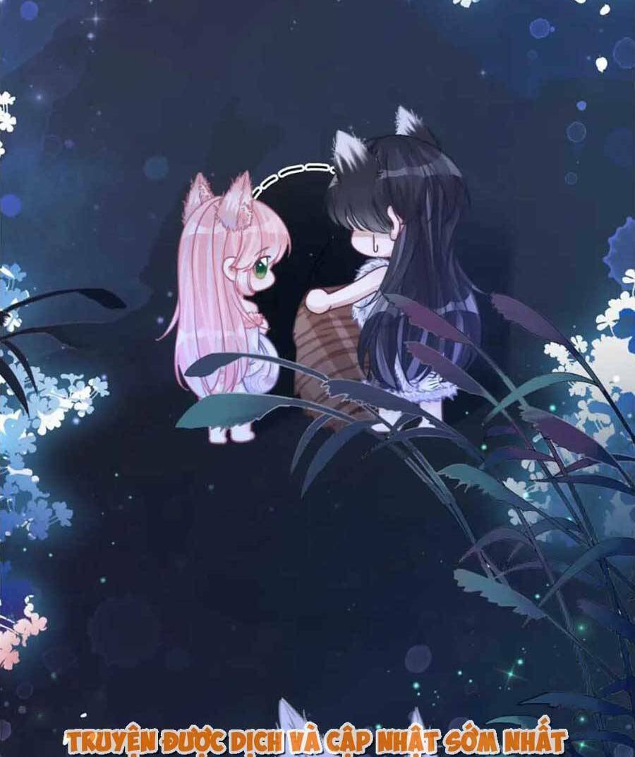 Xuyên Nhanh Nữ Phụ Bình Tĩnh Chút: Chapter 162