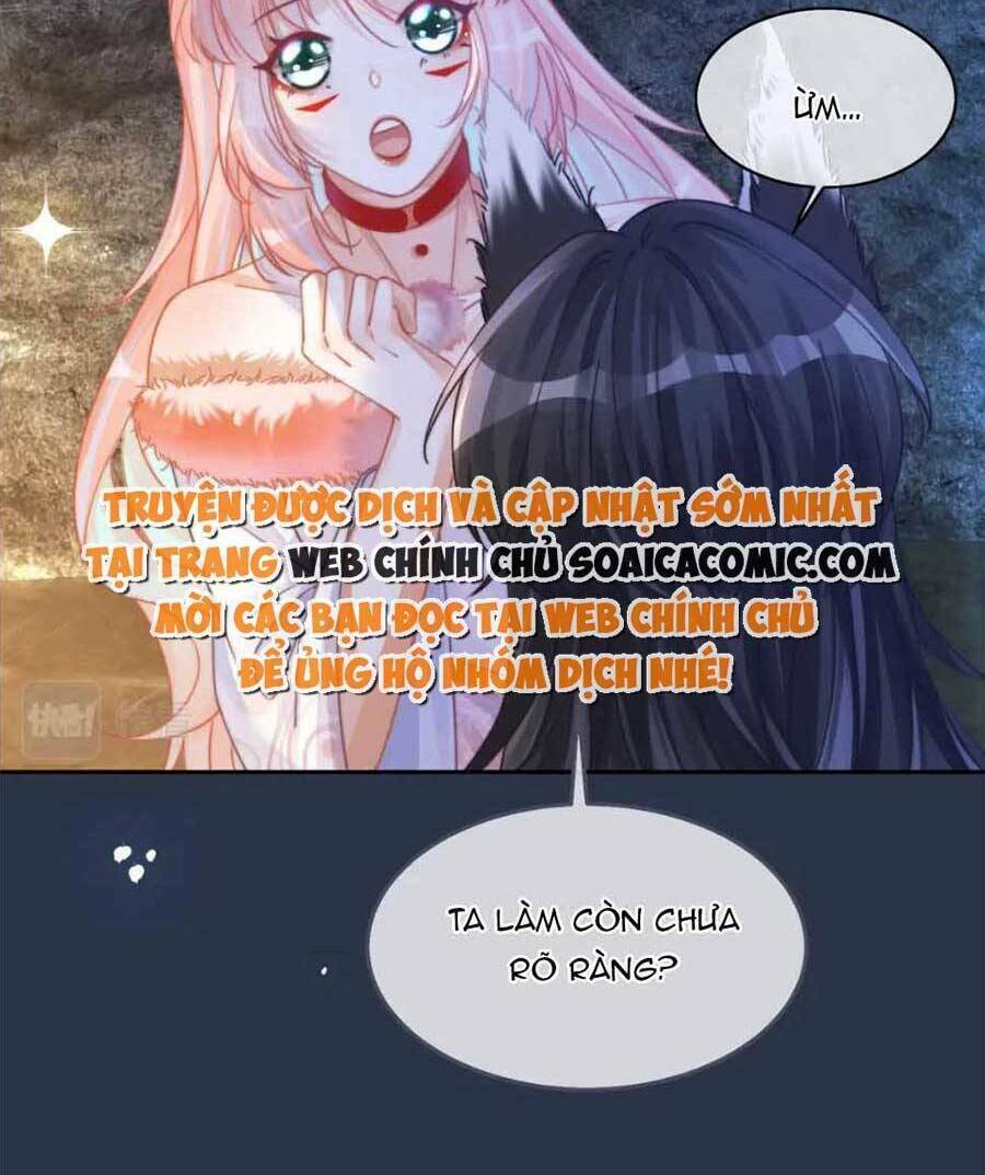 Xuyên Nhanh Nữ Phụ Bình Tĩnh Chút: Chapter 162