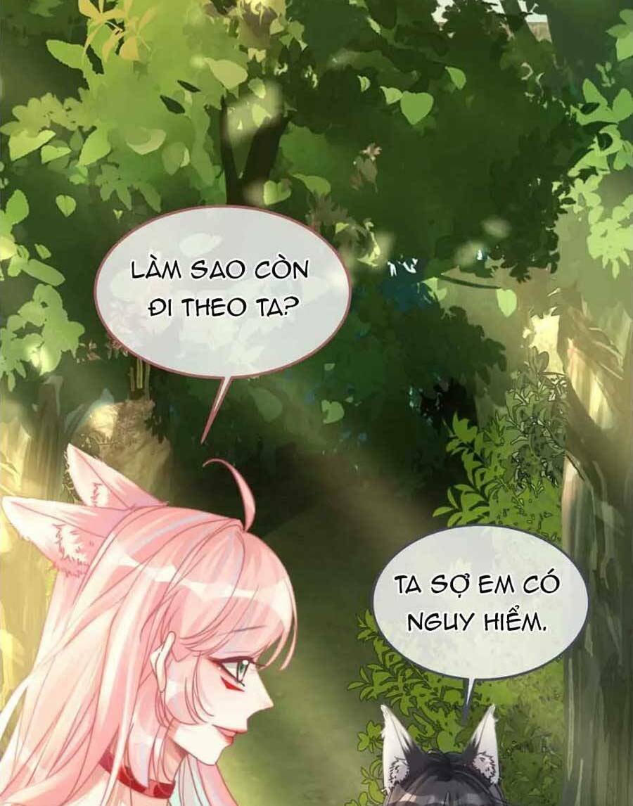 Xuyên Nhanh Nữ Phụ Bình Tĩnh Chút: Chapter 162