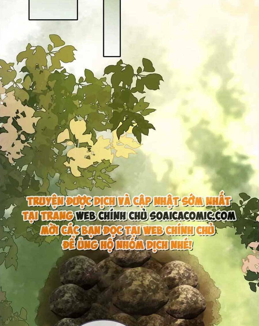 Xuyên Nhanh Nữ Phụ Bình Tĩnh Chút: Chapter 162