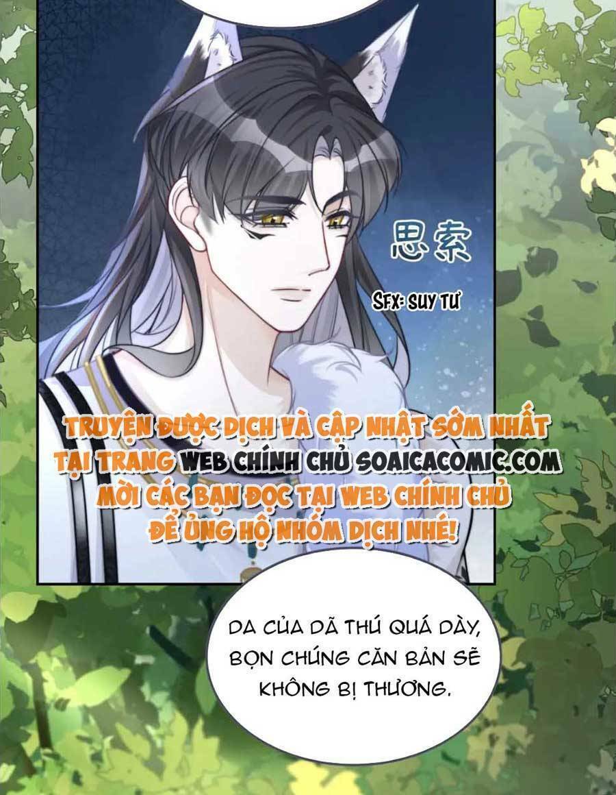 Xuyên Nhanh Nữ Phụ Bình Tĩnh Chút: Chapter 162