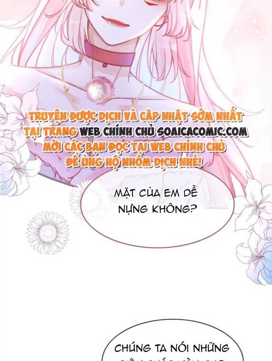 Xuyên Nhanh Nữ Phụ Bình Tĩnh Chút: Chapter 162